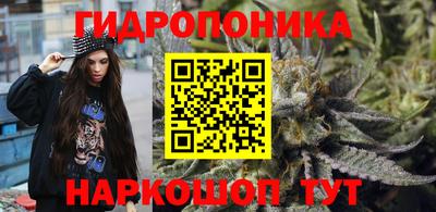 крисы Малоярославец