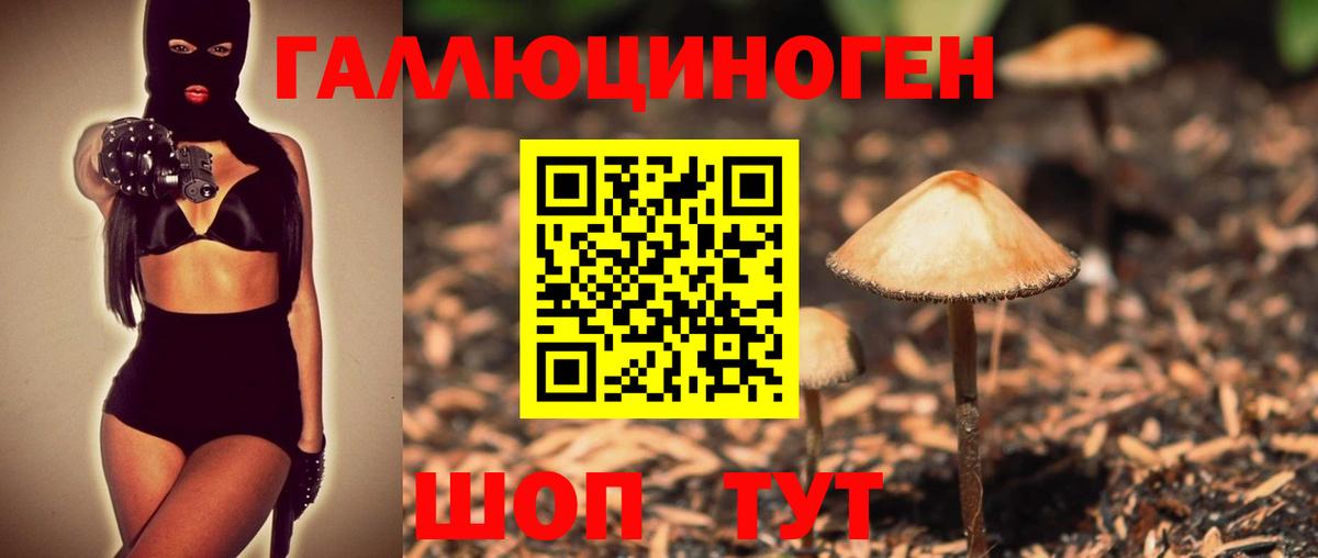 Галлюциногенные грибы Psilocybe  Псилоцибиновые грибы прущие грибы  Дятьково  Вход с VPN 